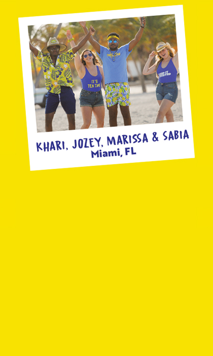 Twisted Tea Back Label